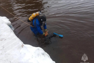 В Рославльском районе Смоленской области найдено тело утопленника