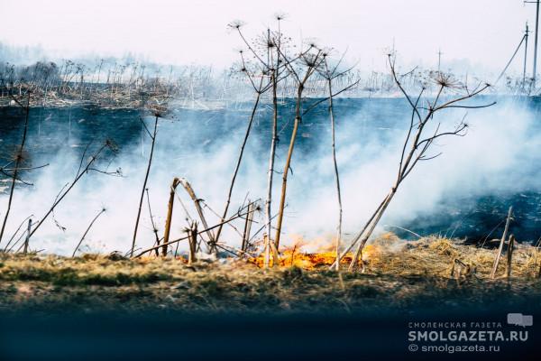 МЧС призывает смолян не сжигать сухую траву
