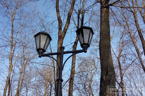 В Смоленской области хулиган разбил в парке новые светильники
