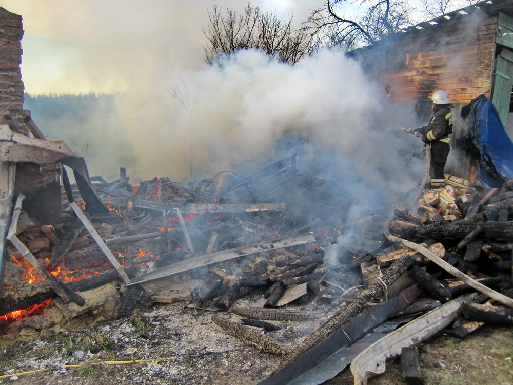 В Починковском районе сгорел дом
