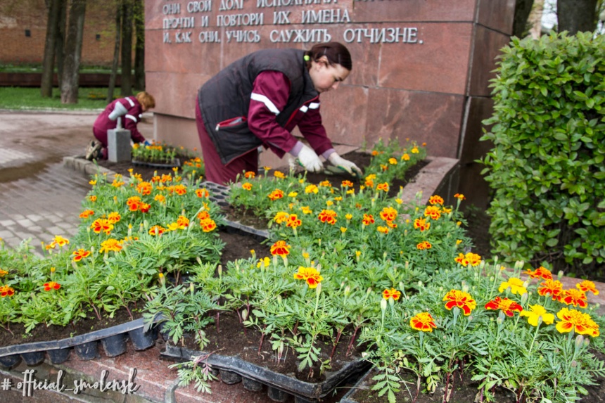 В Смоленске высаживают цветники