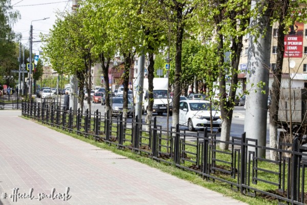 В Смоленске на улице Кирова высадили два десятка новых лип