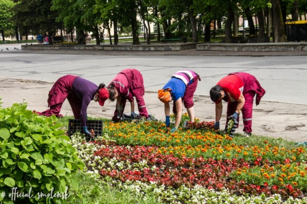 В Смоленске у Главпочтамта высадили новый цветник