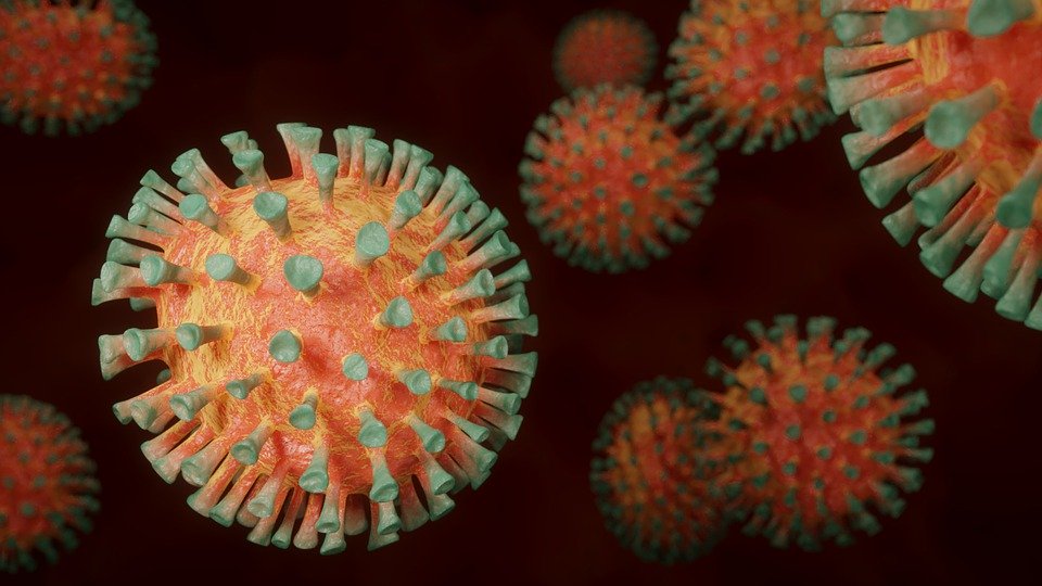 В Смоленске число заболевших коронавирусом возросло до 1608 человек