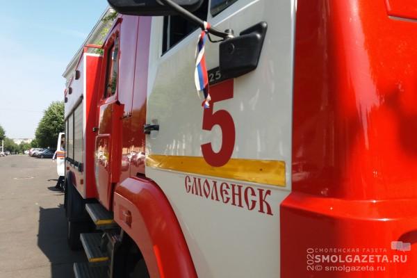 В Смоленской области с начала года зарегистрировали 2887 пожаров 
