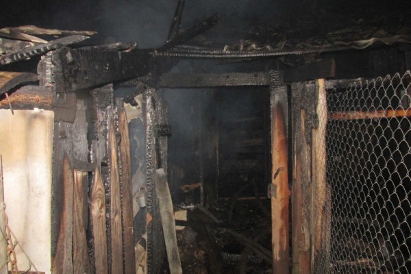 В Починковском районе горели хозпостройки