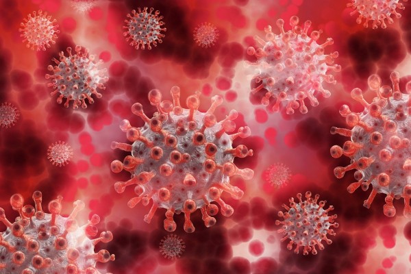 За сутки в Смоленске выявили 66 заболевших коронавирусом