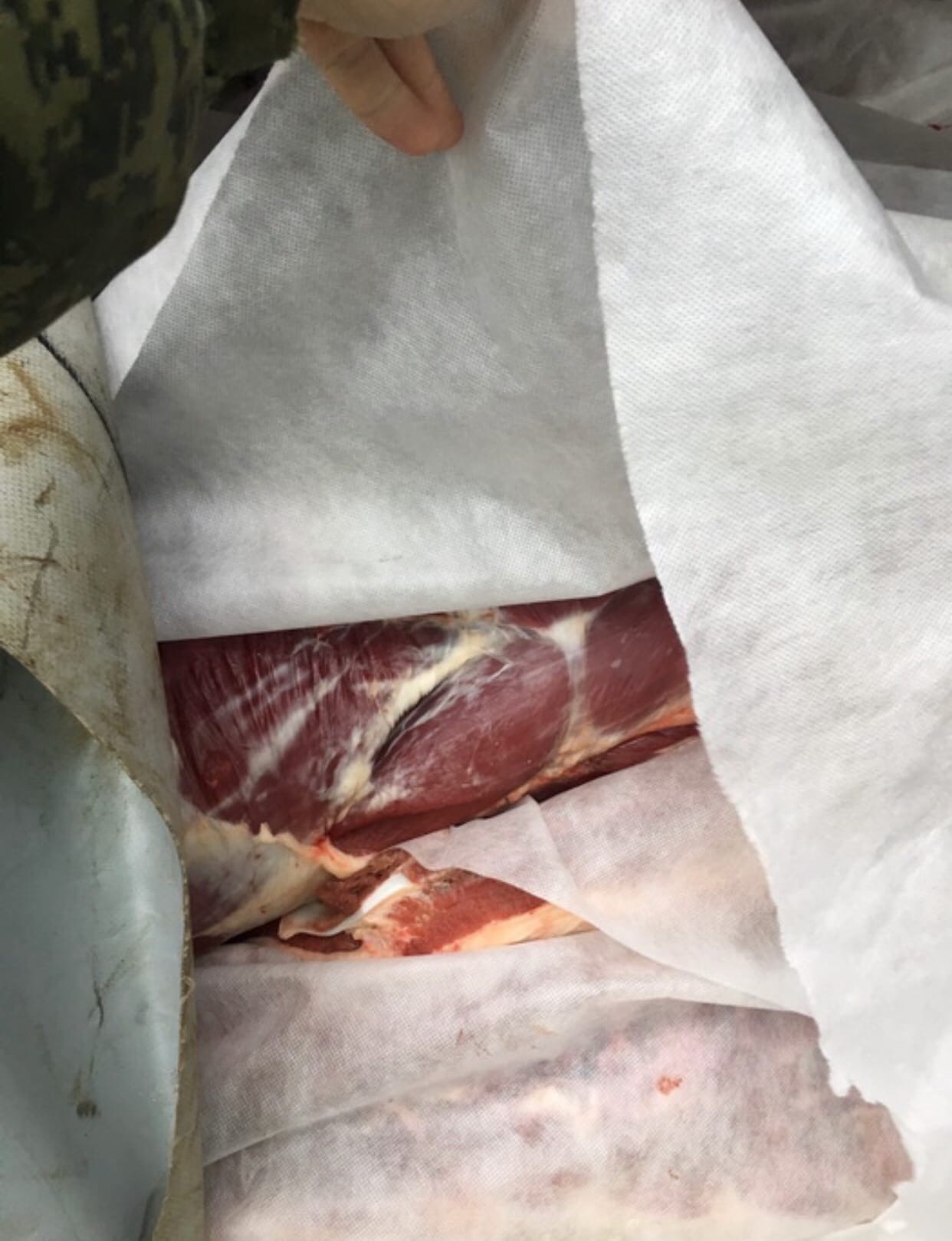 Смоленские таможенники выявили контрабанду крупной партии мяса