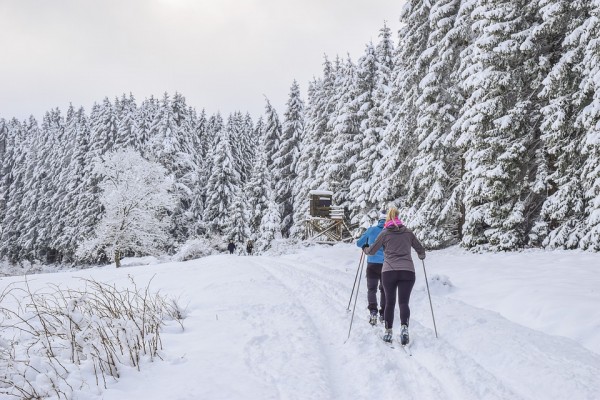В Смоленске составили рейтинг популярных лыжных баз 