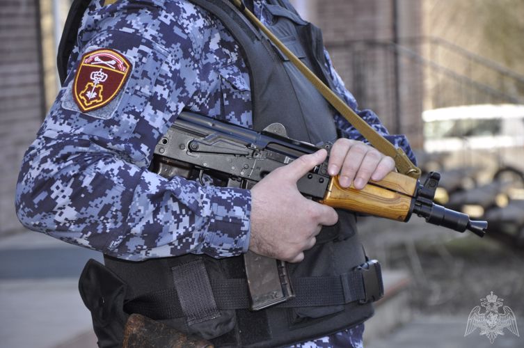В городе Смоленске росгвардейцы пресекли ряд краж 