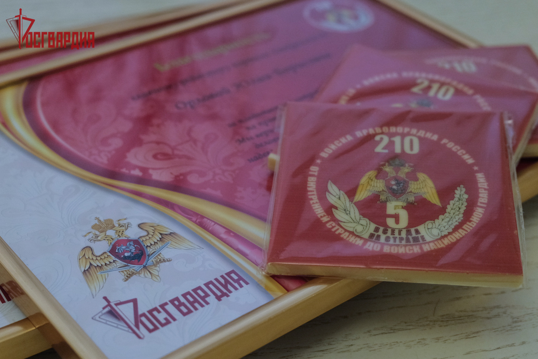 В Смоленске наградили победителей регионального этапа фестиваля «Открытая Росгвардия»