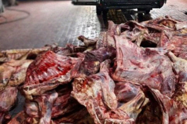 На Смоленщине утилизировали около 4 тонн опасной говядины