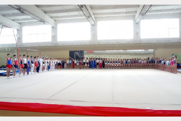 В Смоленске состоялись чемпионат и первенство города по спортивной гимнастике