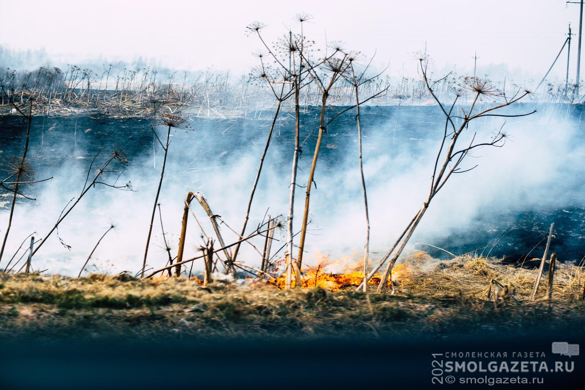 Предотвращение пожаров на Смоленщине — первоочередная задача