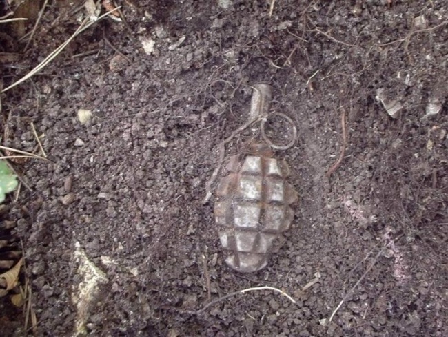 В Смоленске в садовом товариществе «Корохоткино» нашли гранату