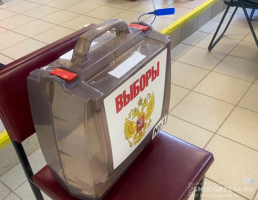 Ольга Калистратова: «Я считаю, что дополнительные выборы прошли легитимно»