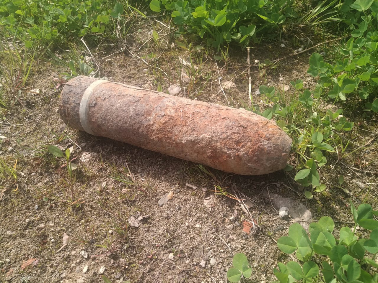 В двух районах Смоленской области саперы обезвредили взрывоопасные предметы