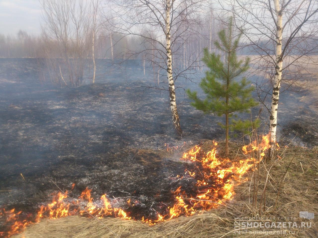 В Смоленске с начала года произошло 307 пожаров