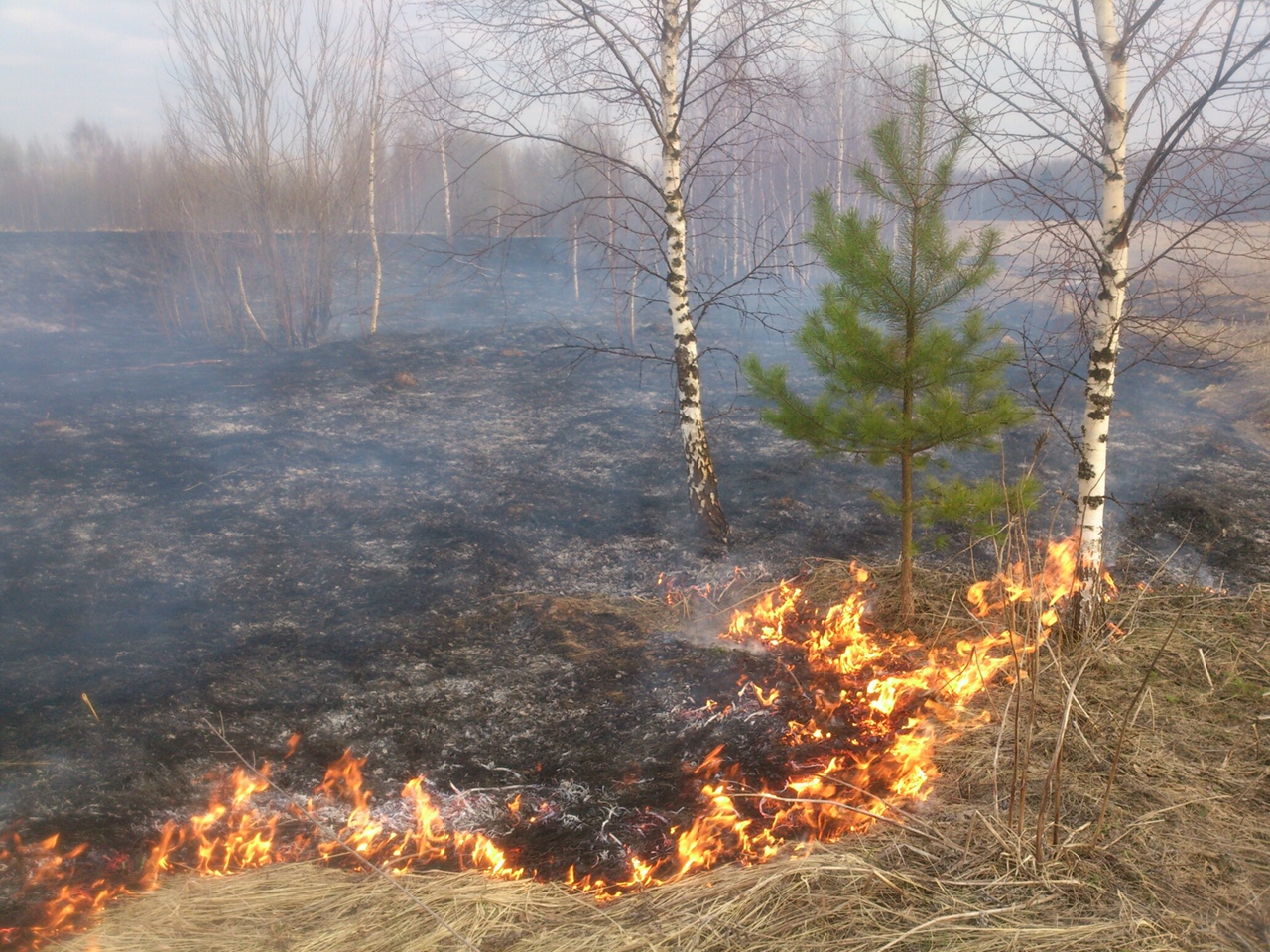 В городе Смоленске с начала года произошло 353 пожара