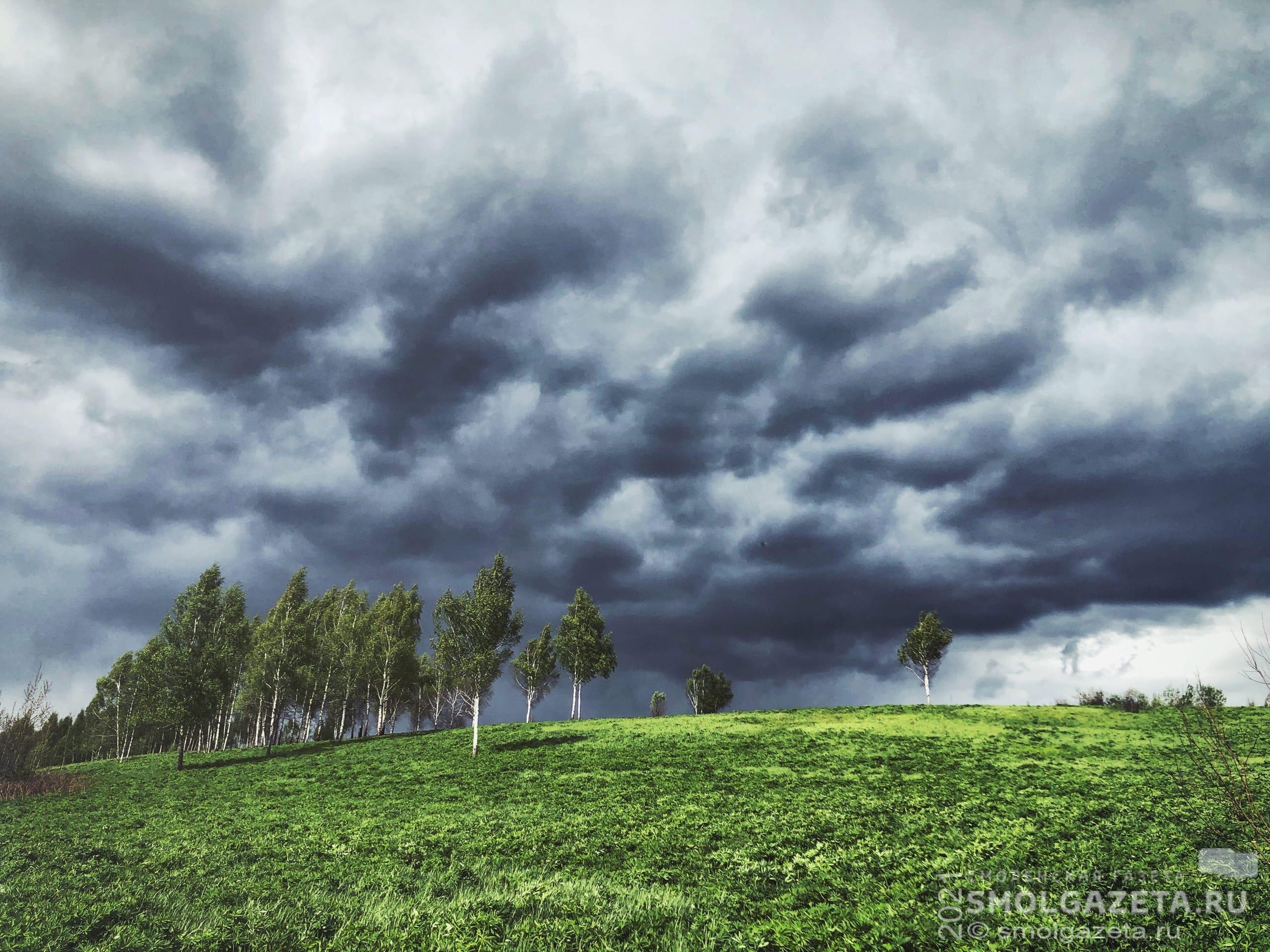 Кратковременные дожди и грозы ожидаются в Смоленской области 8 июня