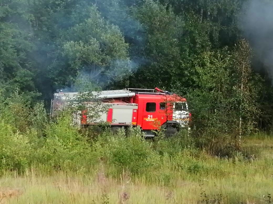  Сотрудники Гагаринского лесничества предотвратили лесной пожар