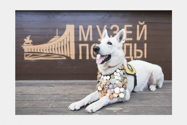 Рисунки смолян вошли в виртуальную выставку «Собаки-герои» 