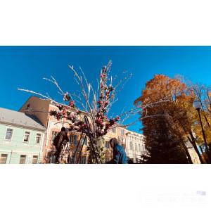 В центральном сквере Смоленска «переодевают» светодиодное дерево