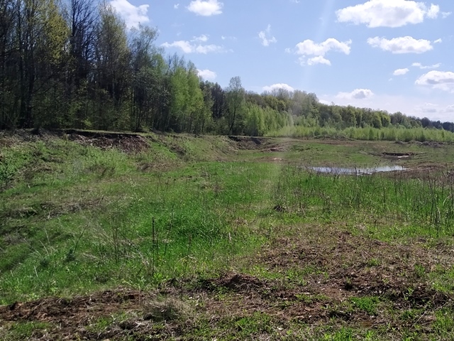 В Смоленской области более 600 гектаров изъятых земель ввели в сельхозоборот