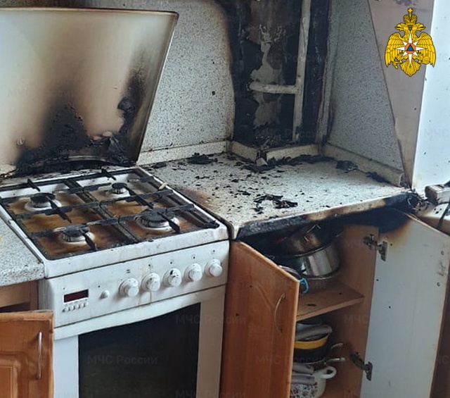 Смоленские пожарные спасли из горящей квартиры двух котиков