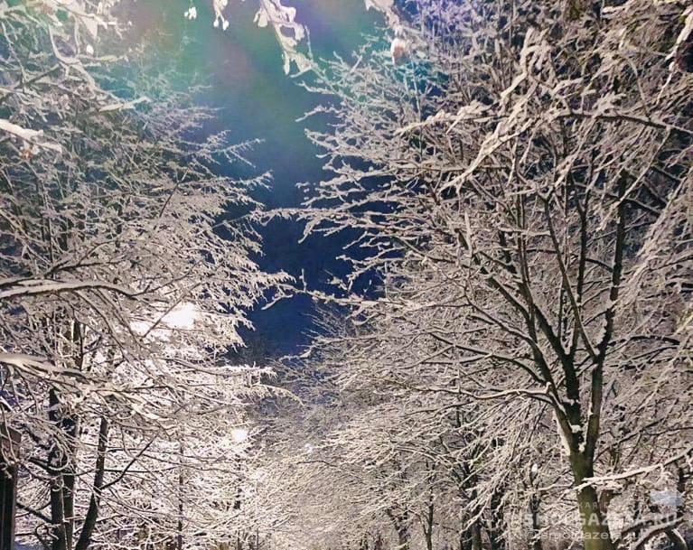 19 января в Смоленской области пройдёт небольшой снег