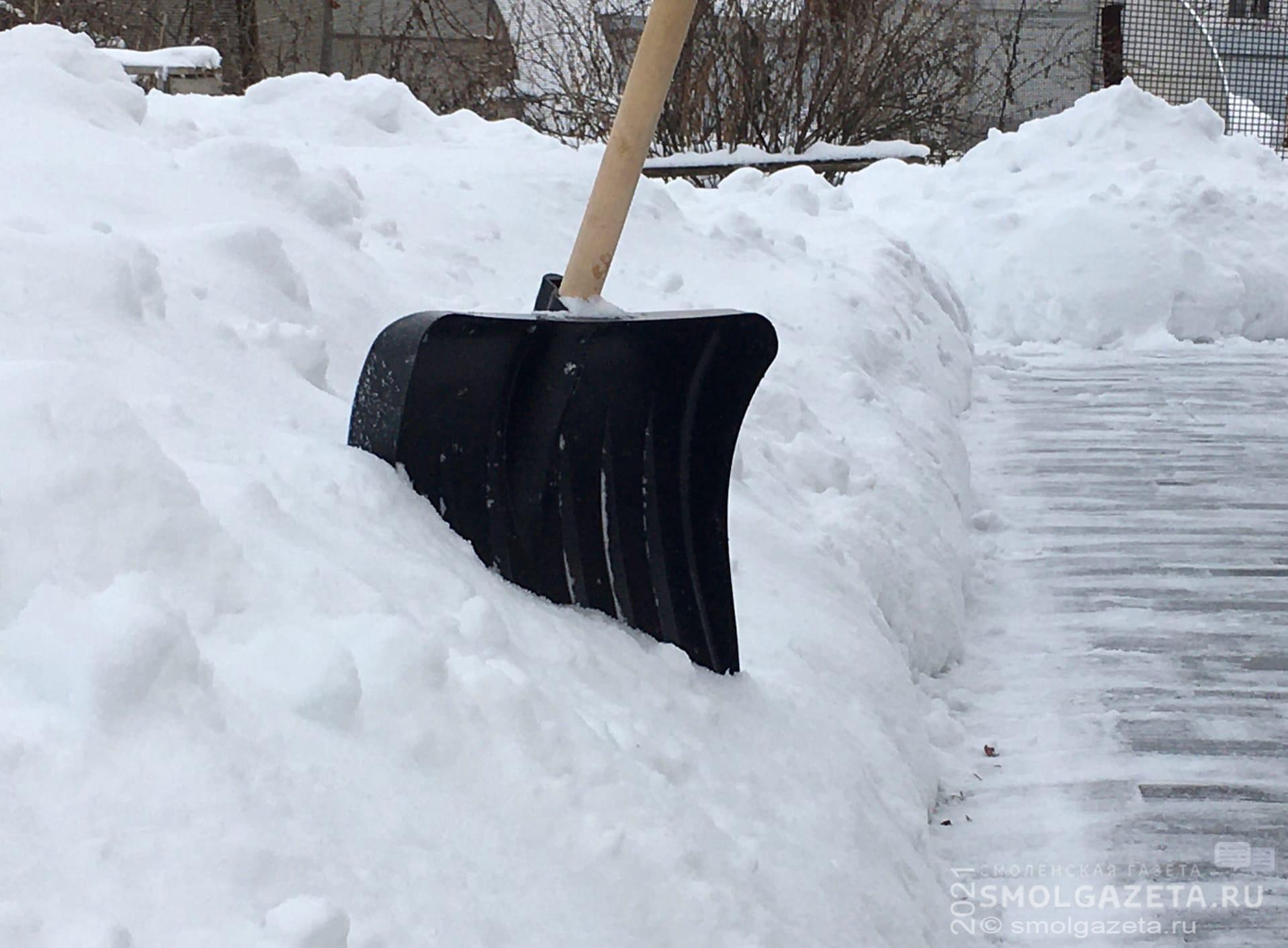 В Смоленске мобильные бригады помогают убирать дворы от снега