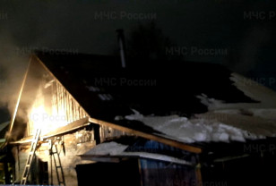 В Вяземском районе горел жилой дом