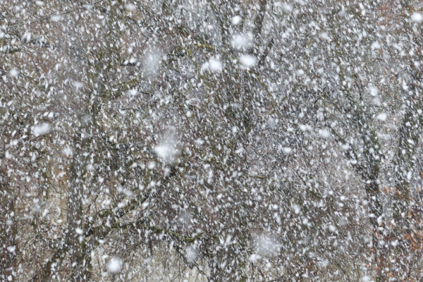 20 февраля в Смоленской области ожидается мокрый снег