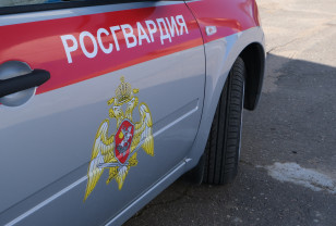 В Смоленской области росгвардейцы задержали подозреваемых в краже  железнодорожных рельсов