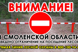В Смоленской области ввели ограничение на посещение лесов
