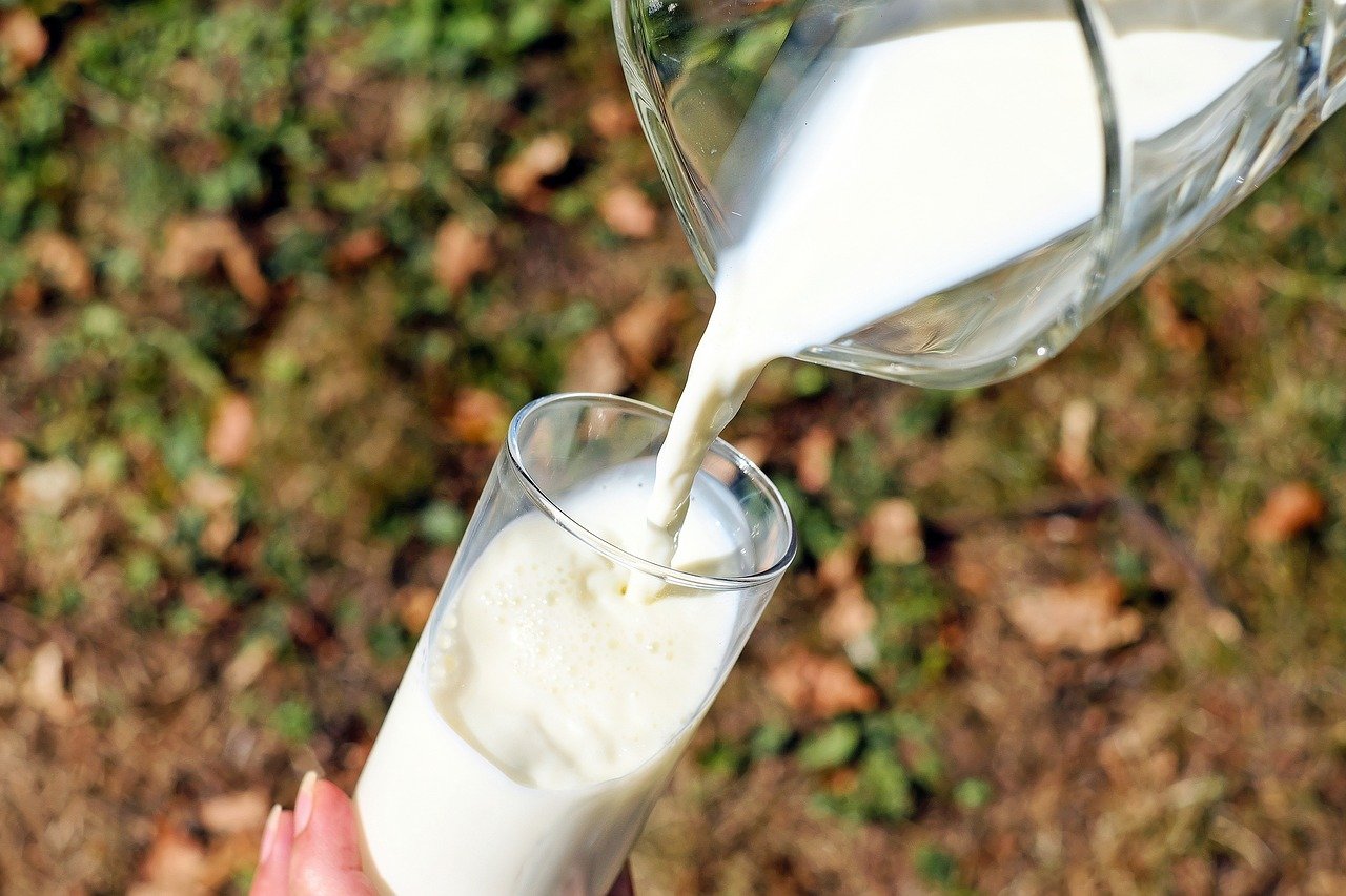 В Смоленской области растут удои молока на корову 
