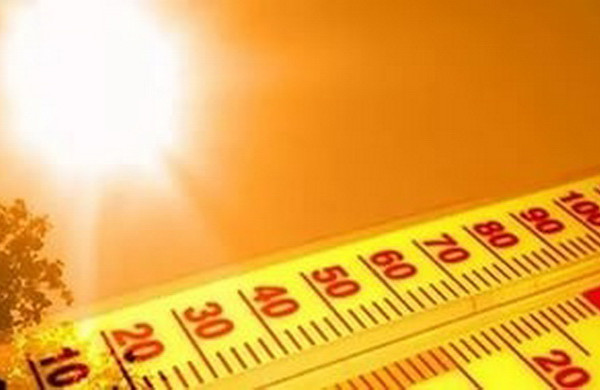 В Смоленске объявили желтый уровень погодной опасности из-за жары