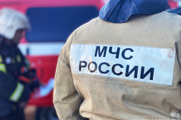 Ночью в Смоленске на проспекте Гагарина случился пожар в квартире