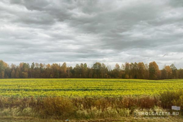 24 октября в Смоленской области ожидаются небольшие дожди
