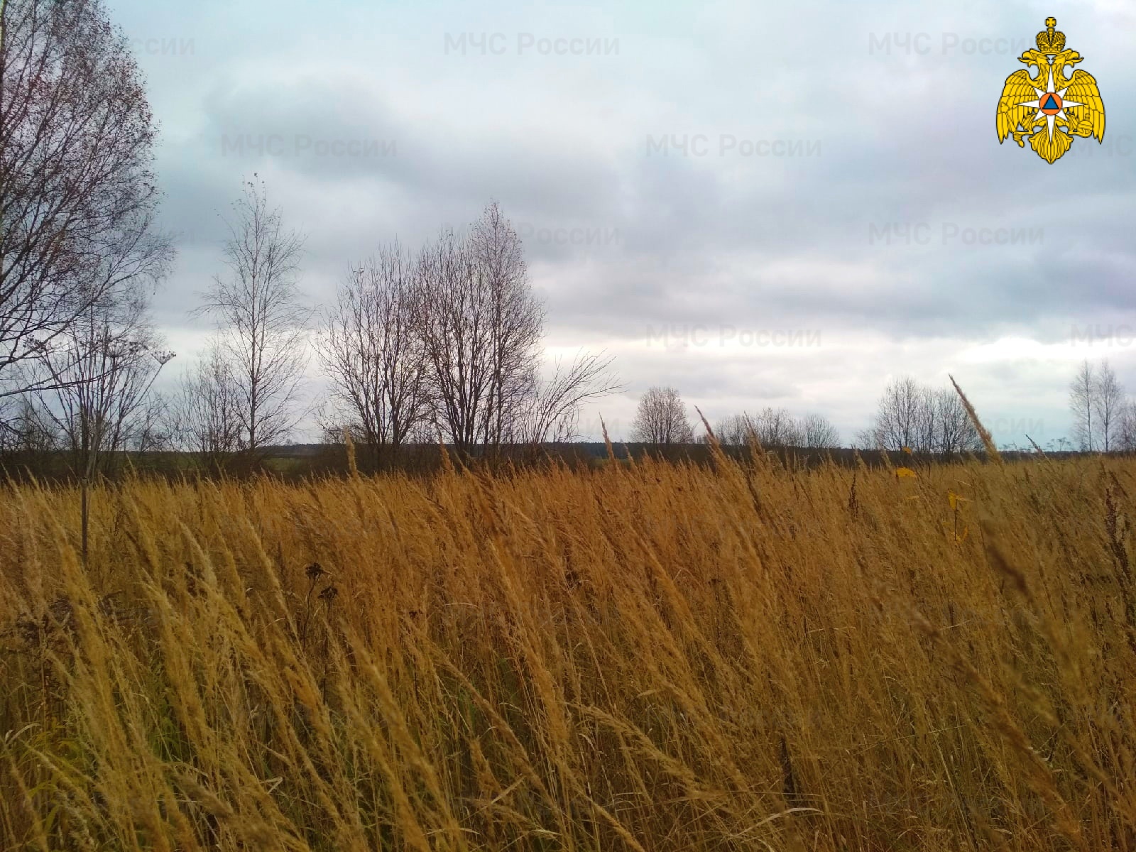13 ноября в Смоленске прогнозируются чрезвычайно-опасные погодные условия