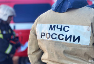 3048 пожаров зарегистрировали в Смоленской области за десять месяцев