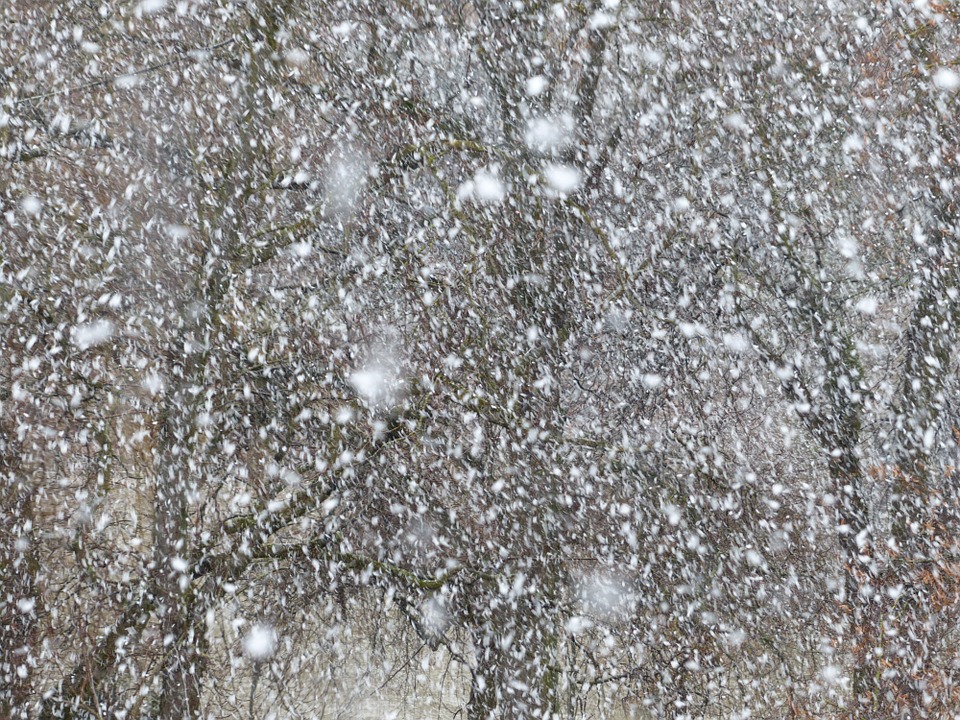 Мокрый снег ожидается в Смоленской области 15 ноября