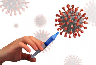 Почти 584 тысячи смолян привились первым компонентом вакцины от коронавируса