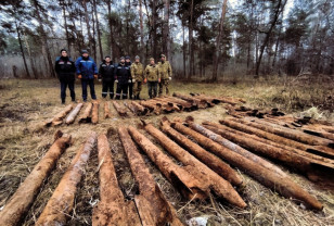 В Смоленской области впервые обнаружили реактивные снаряда времен войны