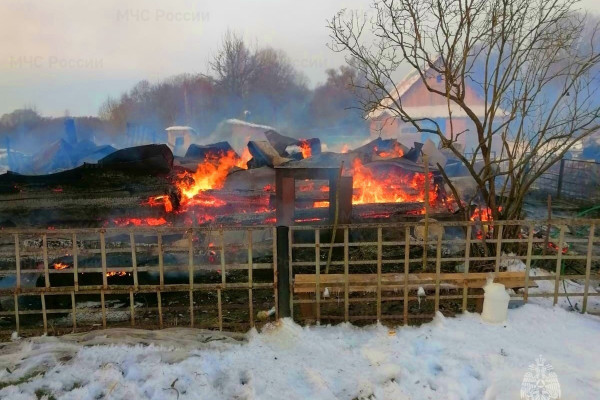 При пожаре в Смоленской области погибли четыре коровы и один бык