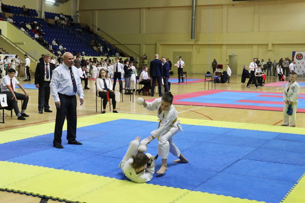 Всемирная Федерация каратэ WKC провела турнир в Смоленске