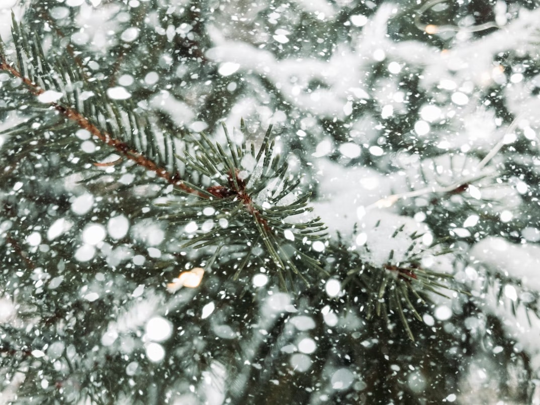 19 декабря в Смоленской области морозы усилятся
