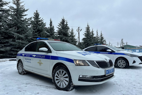 19 февраля дорожная полиция Смоленска проверит водителей