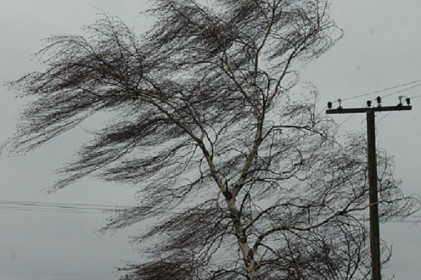 В Смоленске ввели повышенный уровень погодной опасности из-за ветра