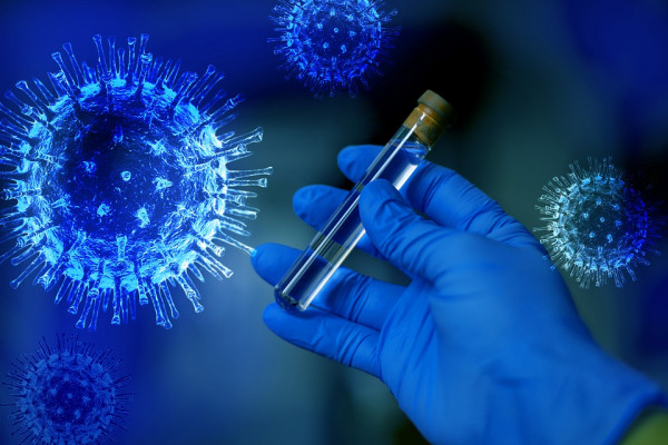 1160 тестов на наличие коронавируса провели в Смоленской области за последние сутки